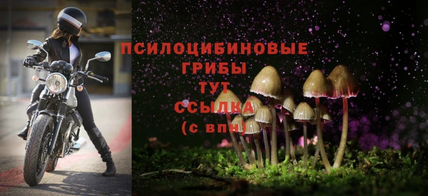 крисы Алзамай