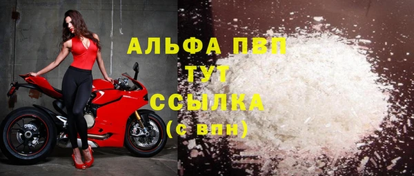 крисы Алзамай