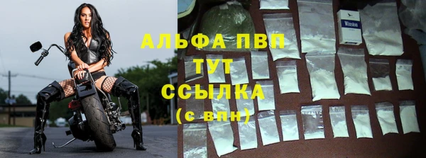 крисы Алзамай